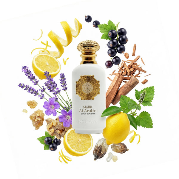MALIK AL ARABIA 100 ML