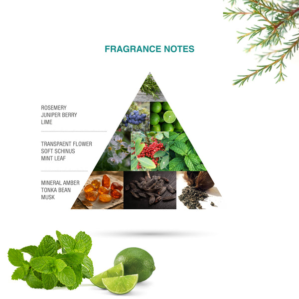 AGED INFUSION 100 ML