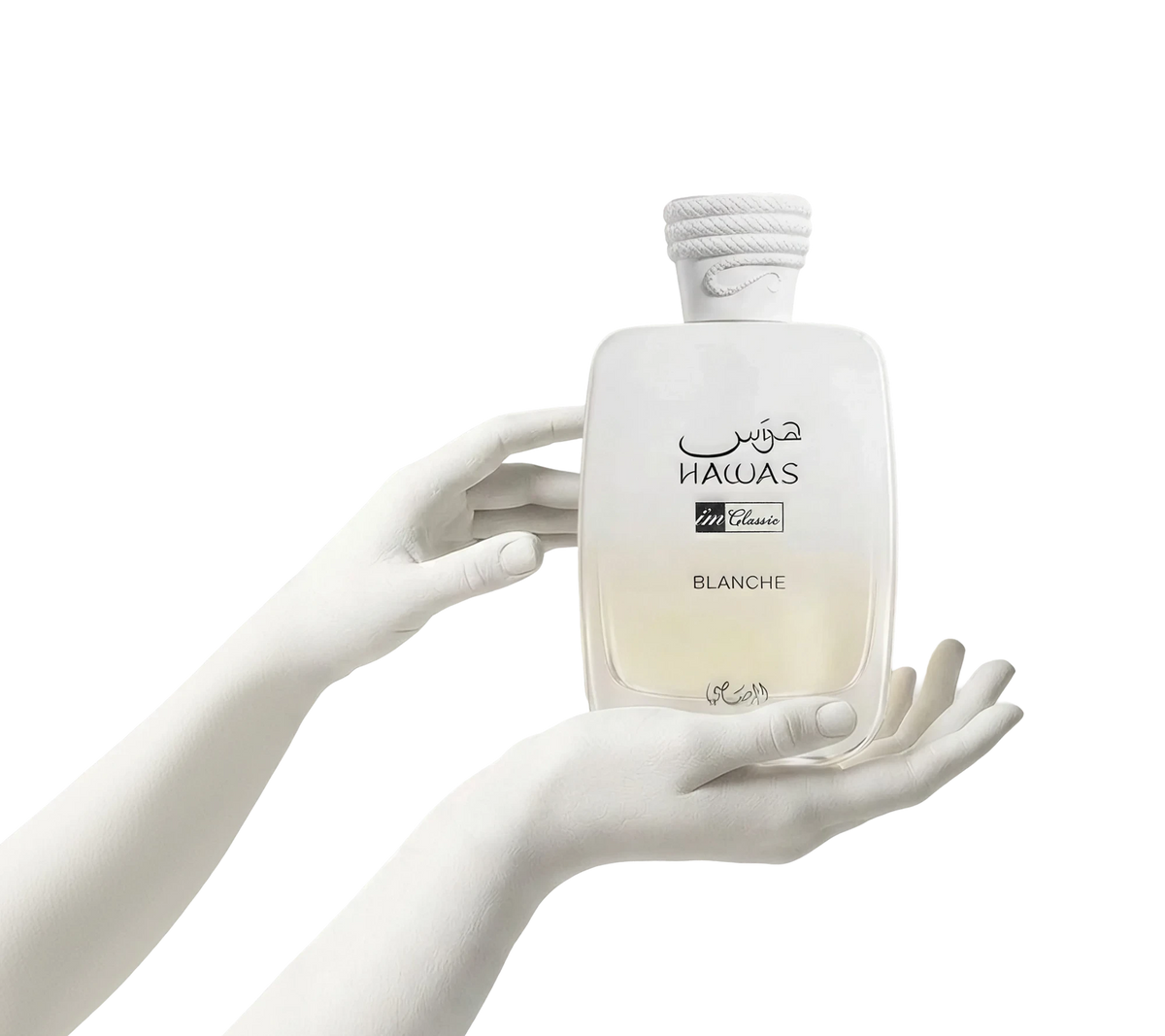 Plaster hands holding Hawas Blanche