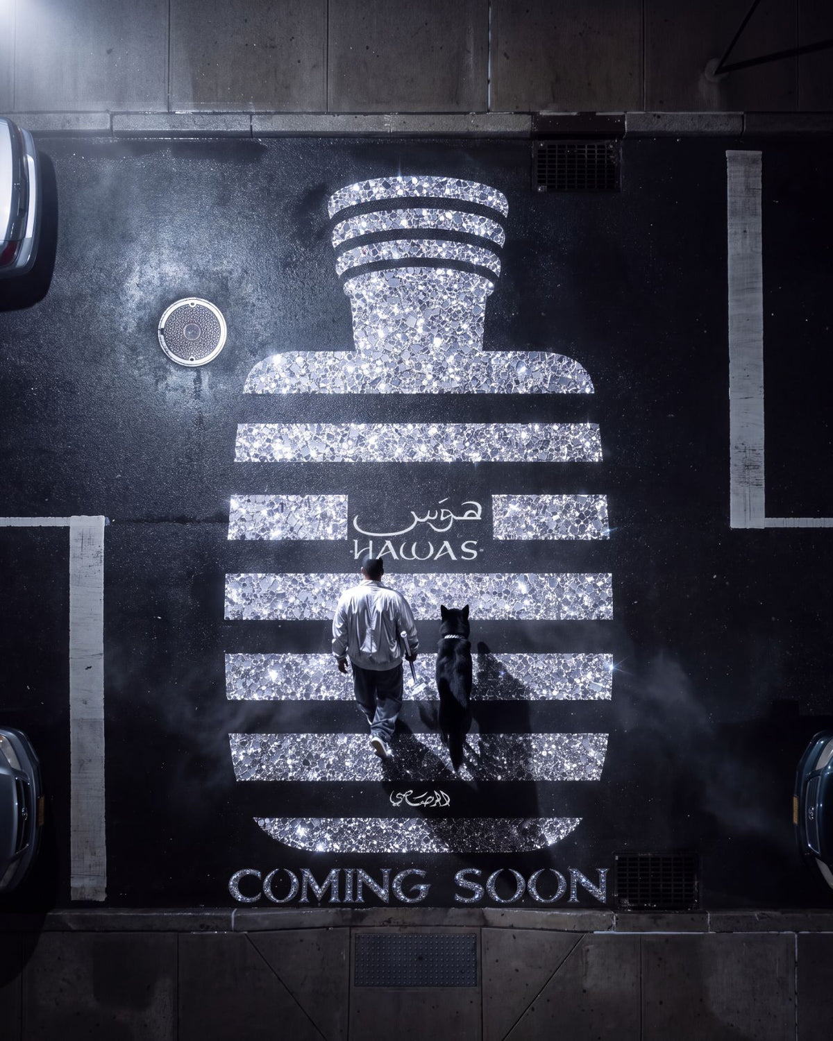From above: he and the wolf cross a glittering mural in the shape of something familiar