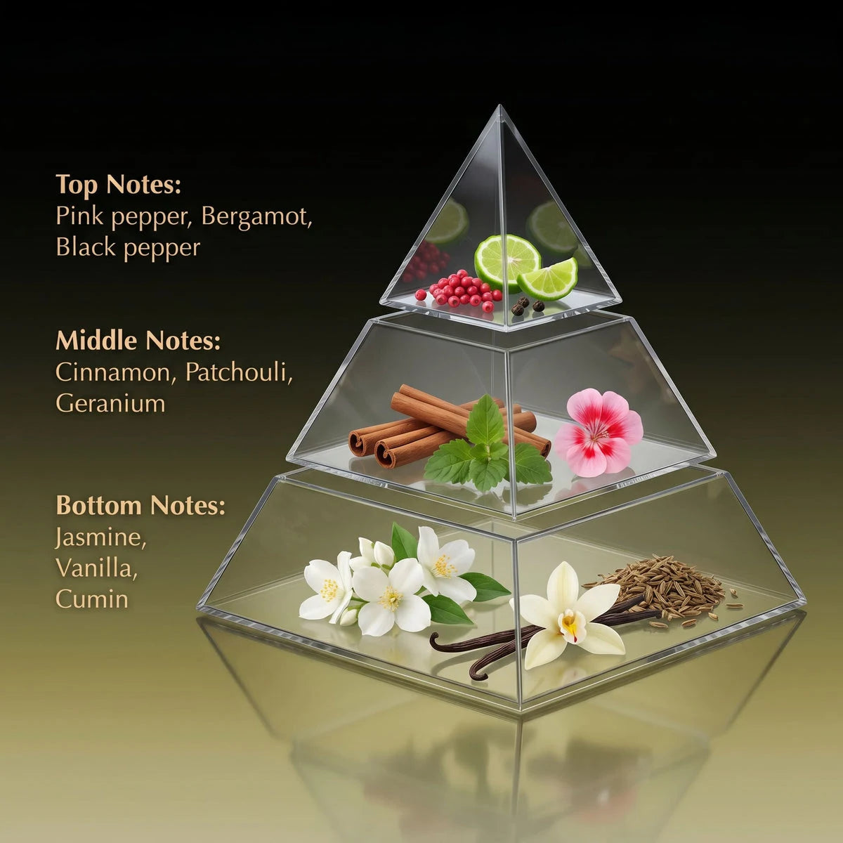 Black Onyx fragrance notes pyramid