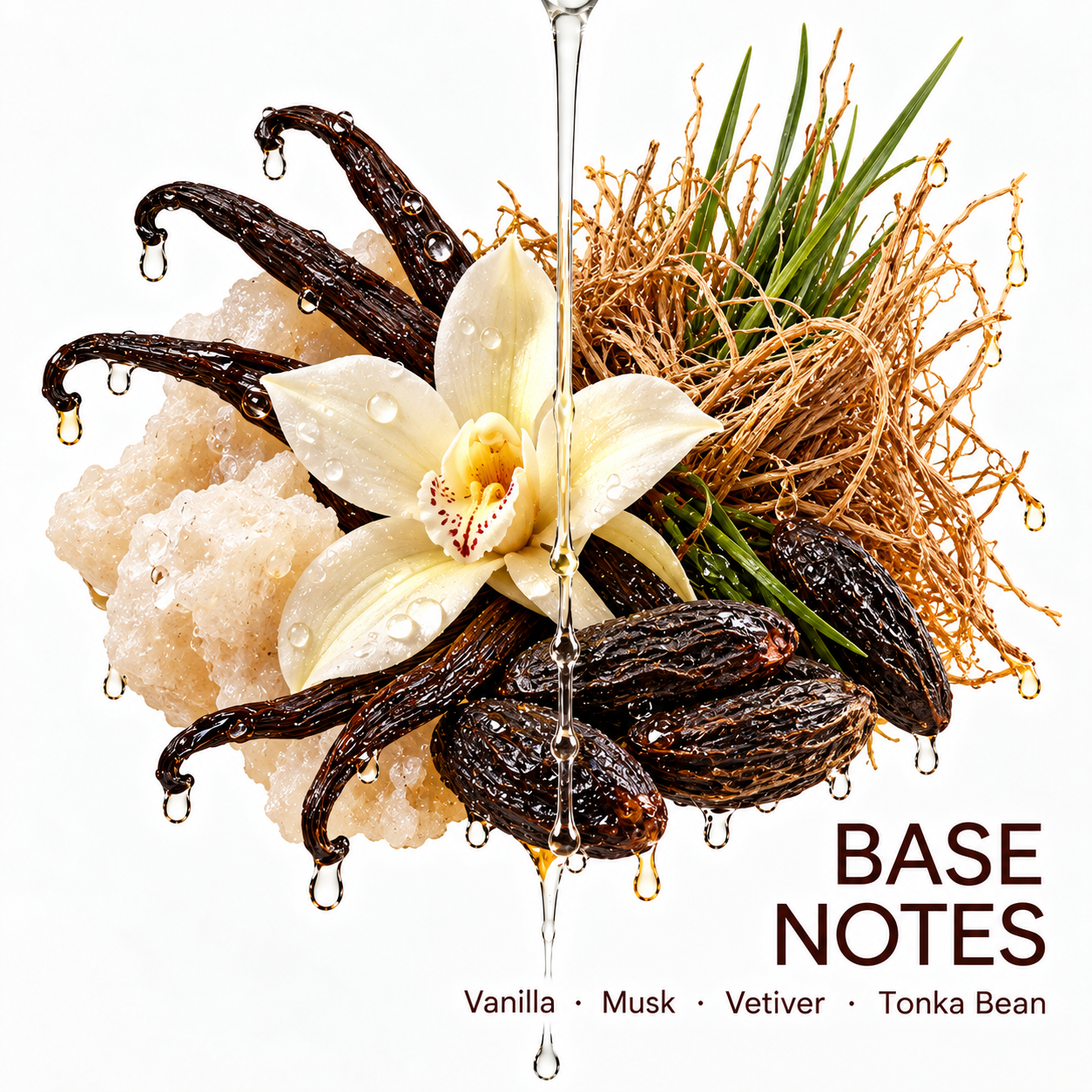 Base notes: vanilla, musk, vetiver and tonka bean