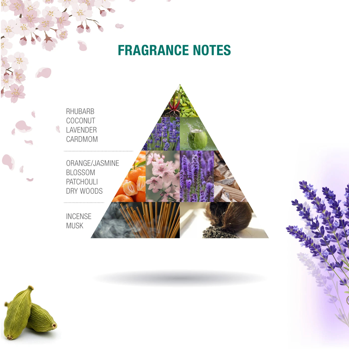 Elixir Beloved fragrance notes pyramid
